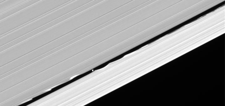 Daphnis